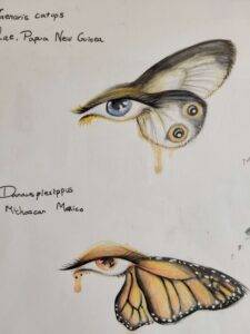 Exploring the Symbolism Butterfly Tattoos in Toronto