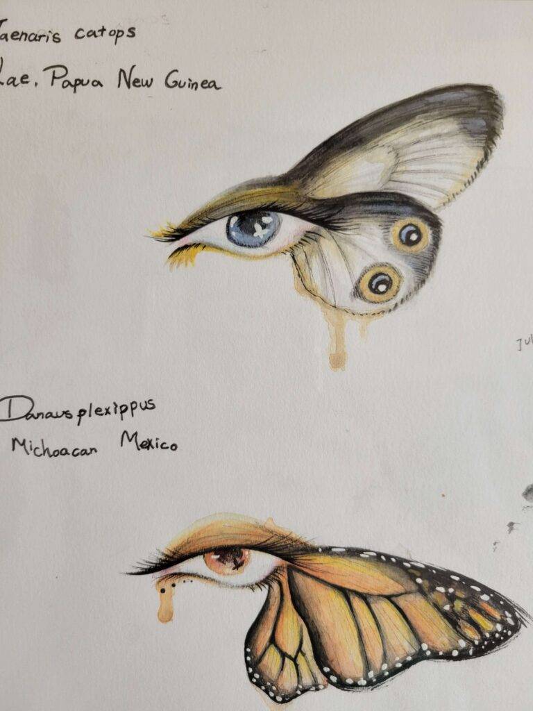 symbol butterfly tattoo meaning