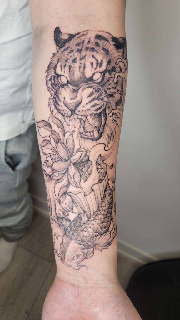 koi fish and roaring tiger tattoo on forearm of a men
