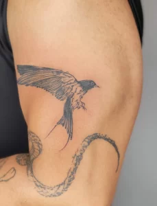 Bird Tattoos Inspiration: Exploring the Symbolism and 10 Stunning Design Ideas